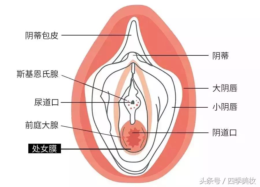 卫生棉条利用,卫生棉条使用方法推荐