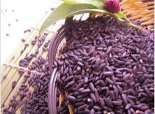 米粒为什么那么可爱,看看中国农民都不知道的12种米就知道了