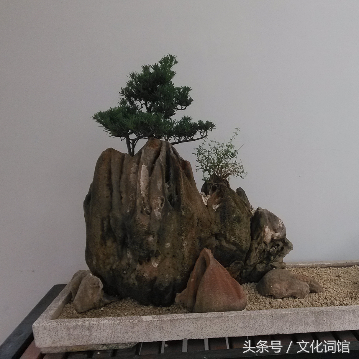 向上社交怎么克服恐惧,克服自卑和社交恐惧