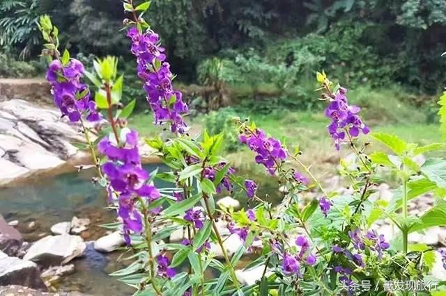 自驾自游｜悠闲地在唯美的“岭南小九寨”里游玩