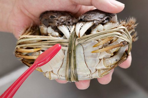 江苏阳澄湖大闸蟹礼券回收价格,江苏阳澄湖大闸蟹直播专场