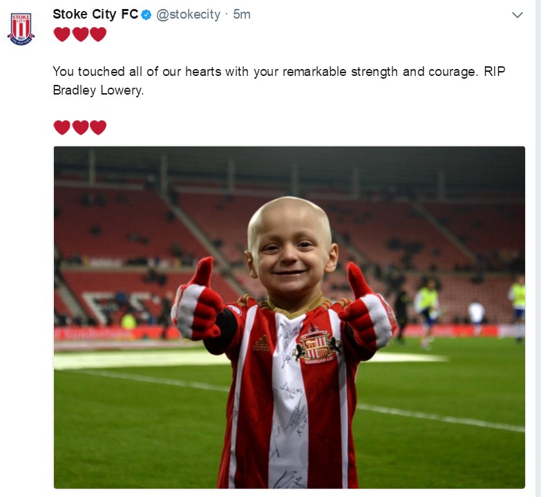 小布拉德利视频,小布拉德利