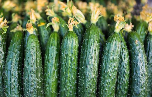 金沙河挂面有冒牌的吗,金沙河挂面有添加剂吗