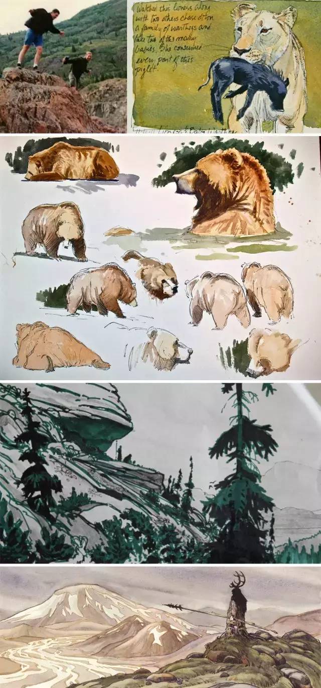 动画设计制作全过程简单,动画片制作教程