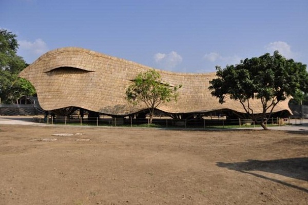 少数民族出国留学优点,出国留学现在有优势么