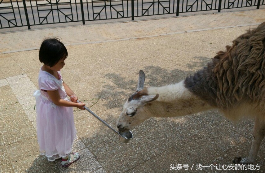 去大连旅游都有哪些值得去的地方,大连旅游值得去的地方