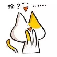 “点刹、*子狗电**”将统统失效！市区新增22处测速抓拍！