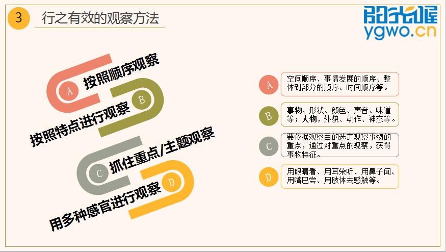 童眼观世界书籍全套,提升孩子观察力的兴趣课