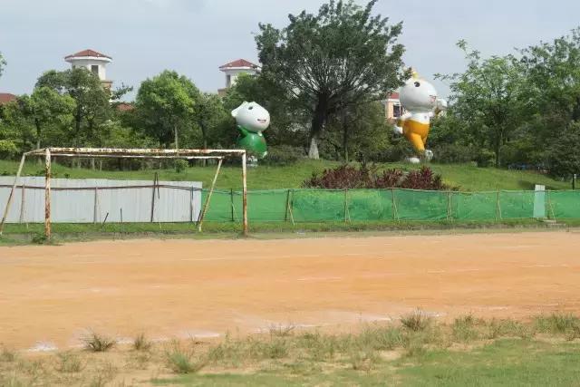 城事|新公园要来了!打造市桥河“一河两岸”生态景观!为番禺街坊增添散步、运动好去处!