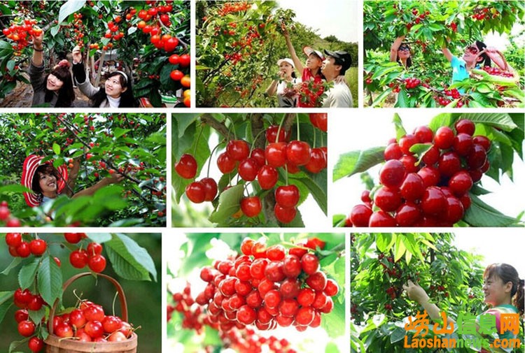 冬日青岛崂山旅游住宿便宜攻略,青岛崂山渔村风景区在哪里