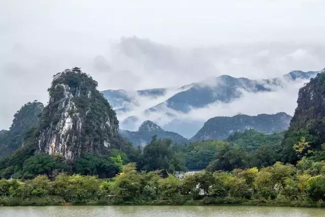 七星岩夏天的荷花图片,七星岩景区有荷花吗