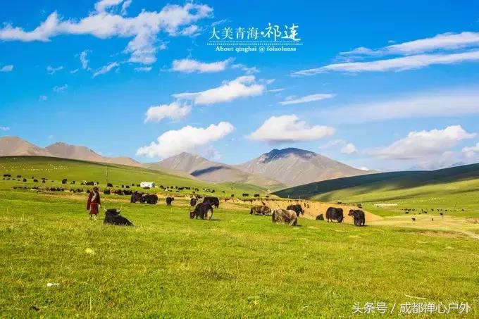 甘南年宝玉则景区,甘肃宝玉则旅游攻略