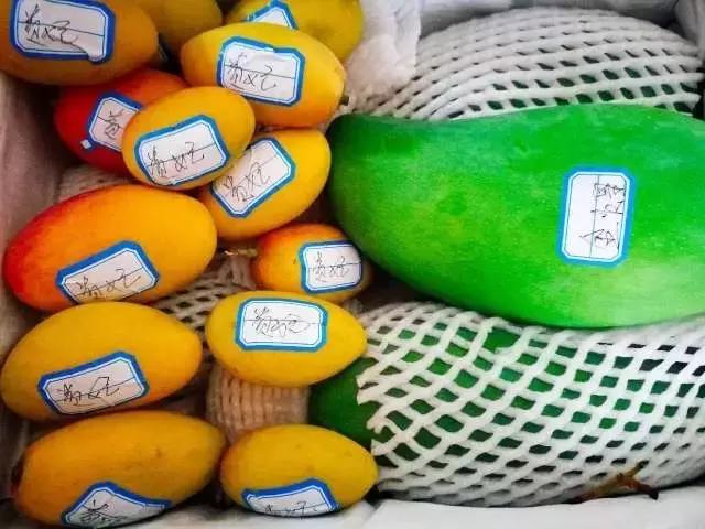 蔷薇水果店~“品控达人”的福音！