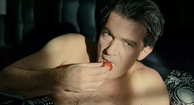 为了复仇她把自己嫁给了魔鬼,为了复仇把自己整成仇人模样