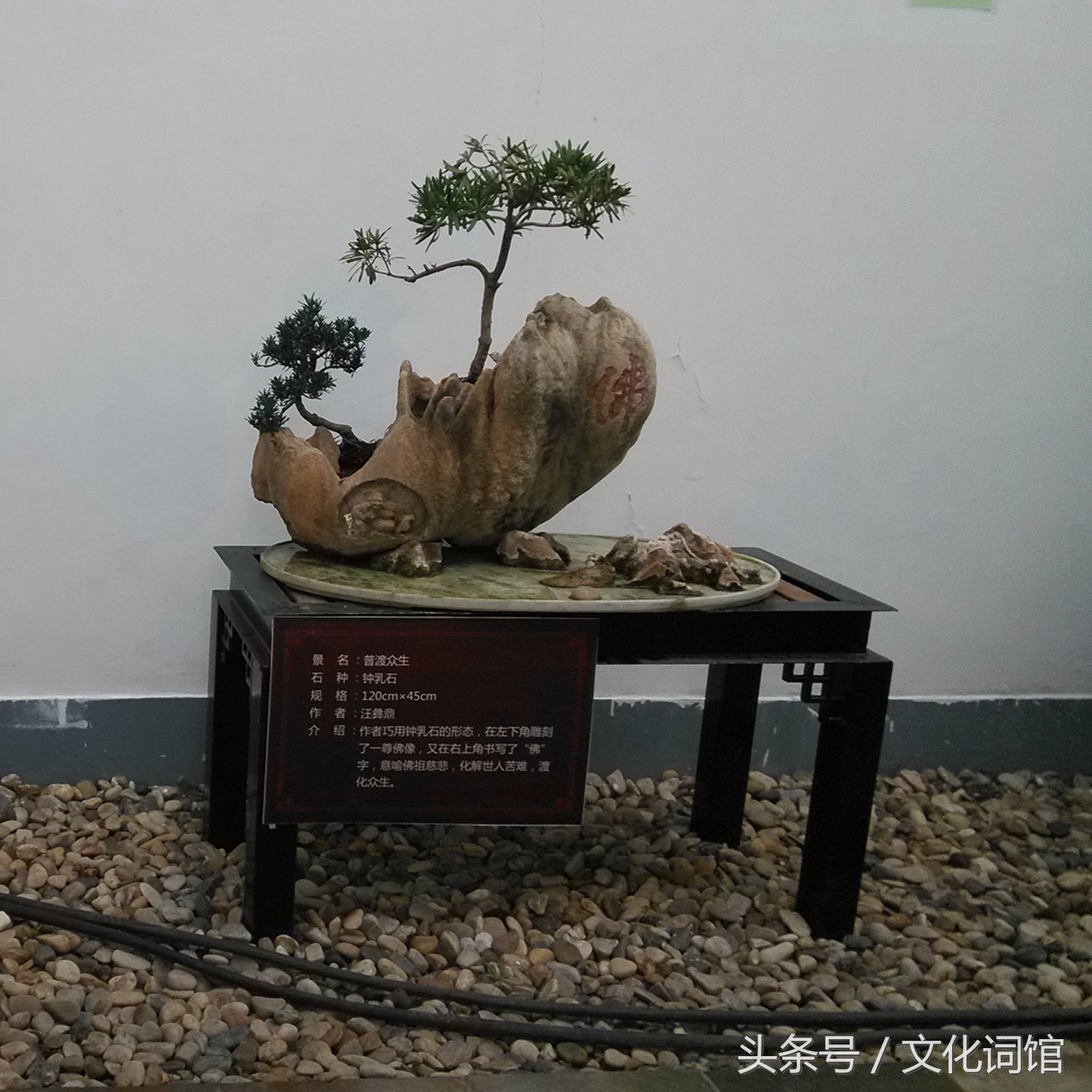 向上社交怎么克服恐惧,克服自卑和社交恐惧