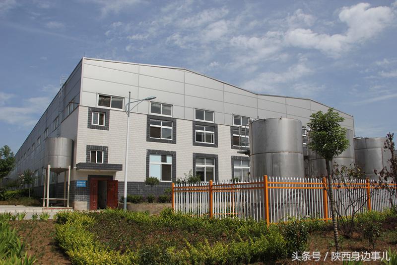 洋县秦洋长生酒业谢村黄酒,洋县秦洋长生酒业抖音号