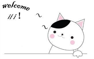 韩国护肤心得体会,韩国的护肤品有多注重细节