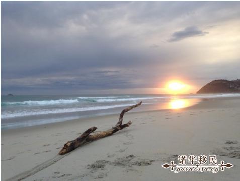 新西兰移民需要什么签证,新西兰最新移民政策解读