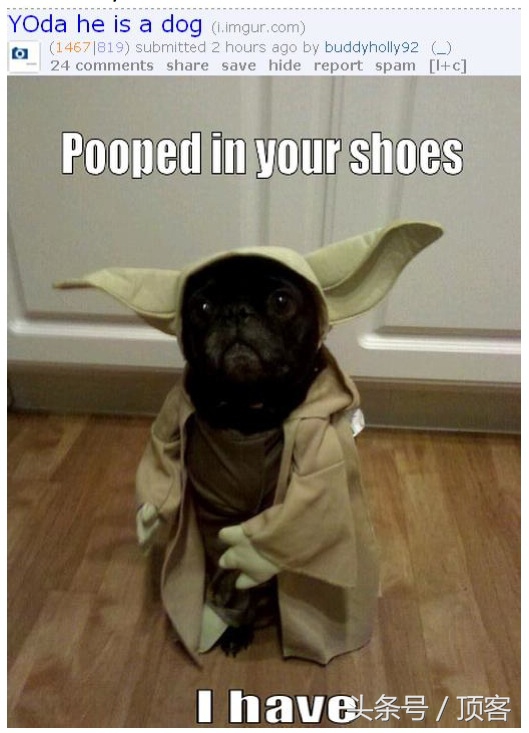 比较有用的手机软件,比较好的收藏软件