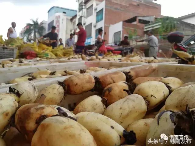 长枪短炮的摄影描述,长枪短炮的摄影器材拍什么好