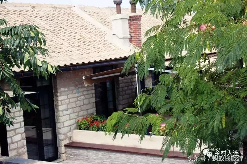 蚂蚁岛一日游,蚂蚁岛半日游