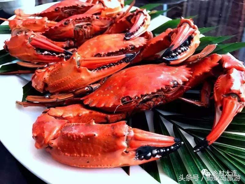 蚂蚁岛一日游,蚂蚁岛半日游