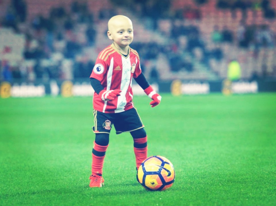 小布拉德利视频,小布拉德利