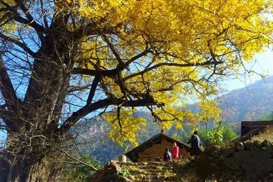 宜昌周边适合避暑的古镇,宜昌小众避暑景点