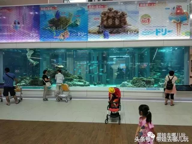 冲绳亲子游最强攻略,冲绳带娃旅游攻略