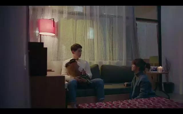 太阳的后裔都看了几遍了,太阳的后裔值得看几遍