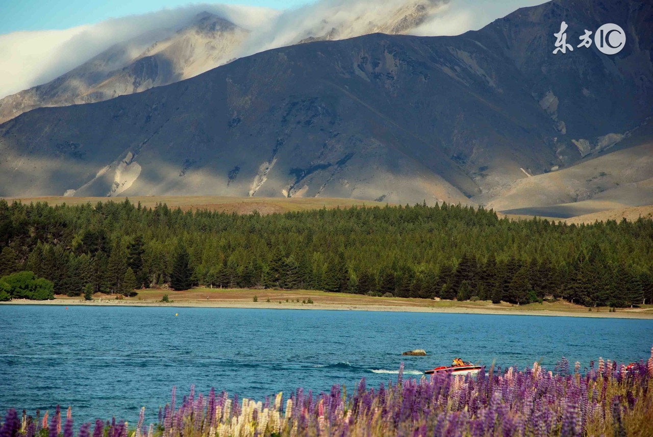 去新西兰要买的特产,去新西兰必买保健品吗