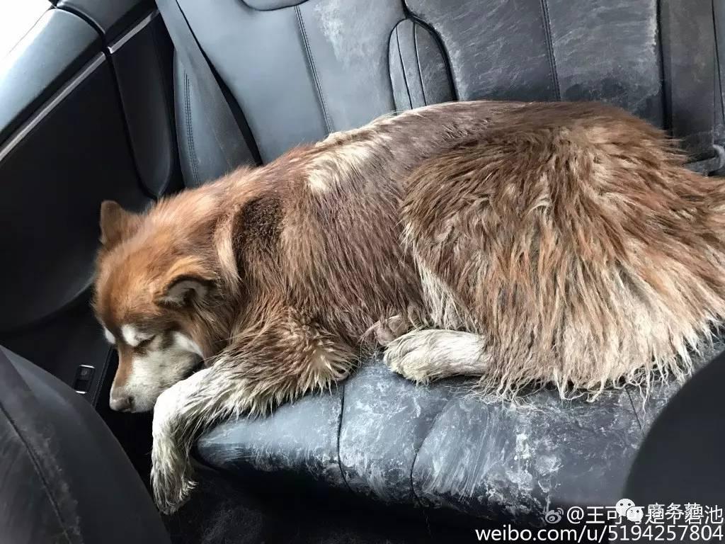 王思聪送王可可视频,王可可怎么遇到王思聪的