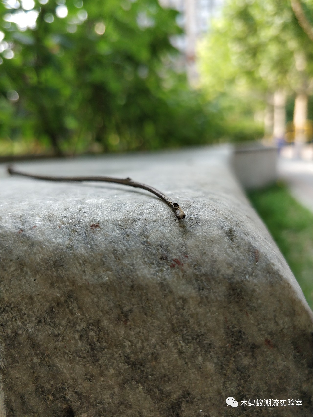 一加5评测拍照,一加5详细解析