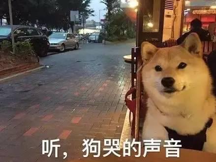 宋慧乔被观众称为男神收割机,男神收割机哪些是真情侣