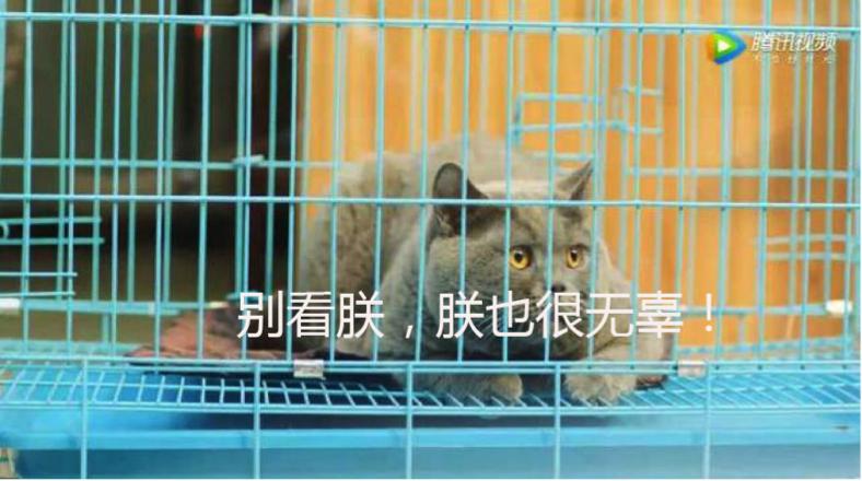 鍚愭Ы灏村艾骞垮憡,鐩樼偣灏村艾骞垮憡