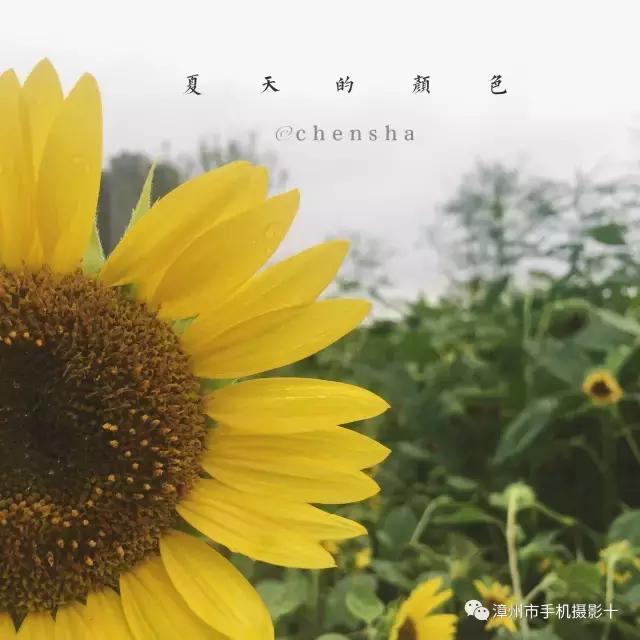 手机摄影作品实景,手机摄影作品展