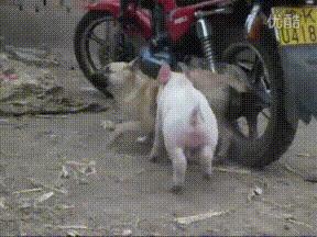 不再担心宝宝被蚊子咬了,宝宝被蚊子咬的正确处理方法