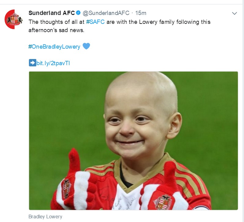 小布拉德利最后的话,小布拉德利视频