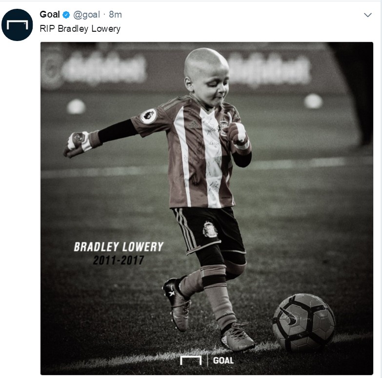 小布拉德利视频,小布拉德利