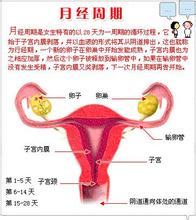 大姨妈为什么叫大姨妈典故,大姨妈为什么叫姨妈