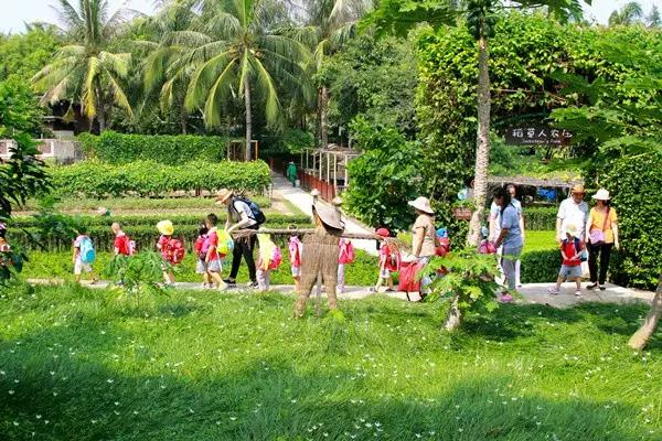 亚龙湾红树林酒店室内玩乐,亚龙湾红树林酒店潜水体验