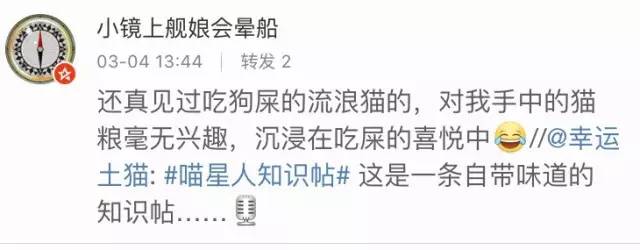 喵星人为什么剃毛,喵星人为什么会乱撒尿