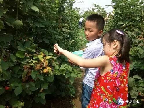 生活早报‖重罚！泉池里洗衣游泳最高罚500元！