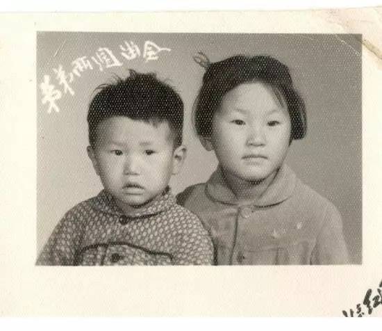 相机的第一组照片,相机里的第一只猫