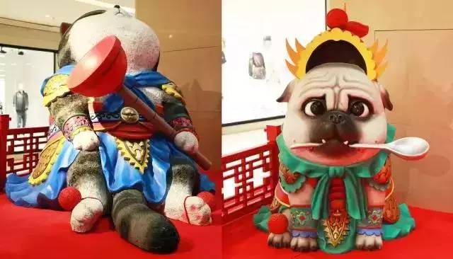 盘点十大网红萌宠,盘点全网6只网红萌宠