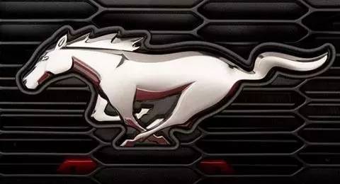 开了这么久的车，这些你知道吗？