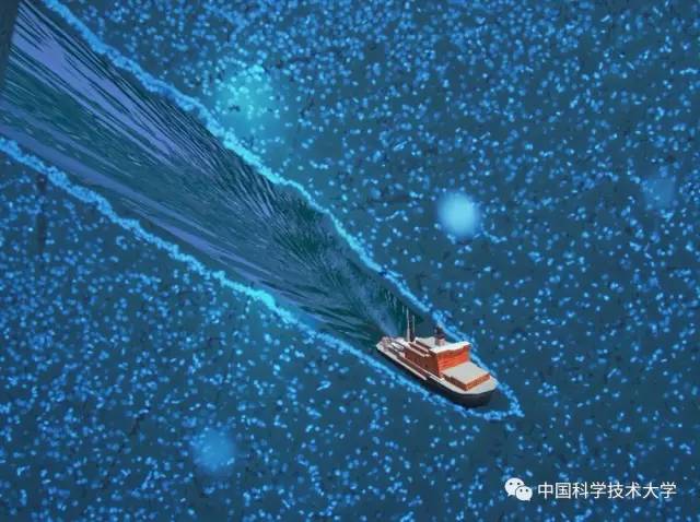 显微镜奇妙世界,显微镜下的奇妙世界视频