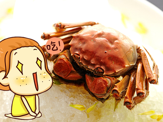 崇明话算不算正宗上海话,崇明话的日常方言