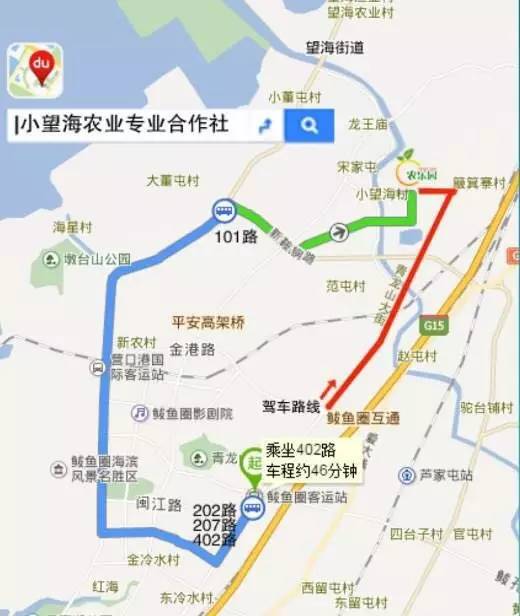 实拍鲅鱼圈“金色海洋”！和你的Ta来场“沉默”的邂逅……