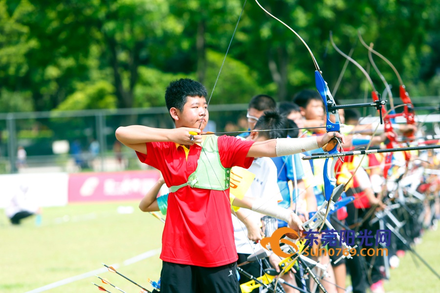 东莞第九届运动会,第九届东莞市市运会